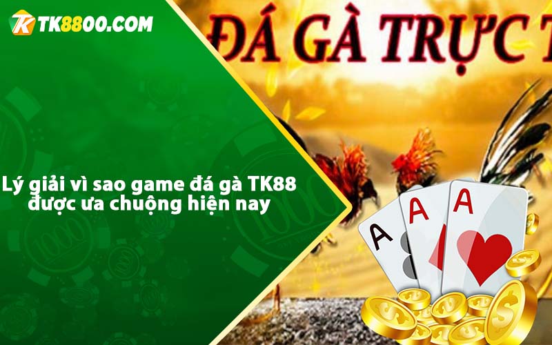 Lý giải vì sao game đá gà TK88 được ưa chuộng hiện nay