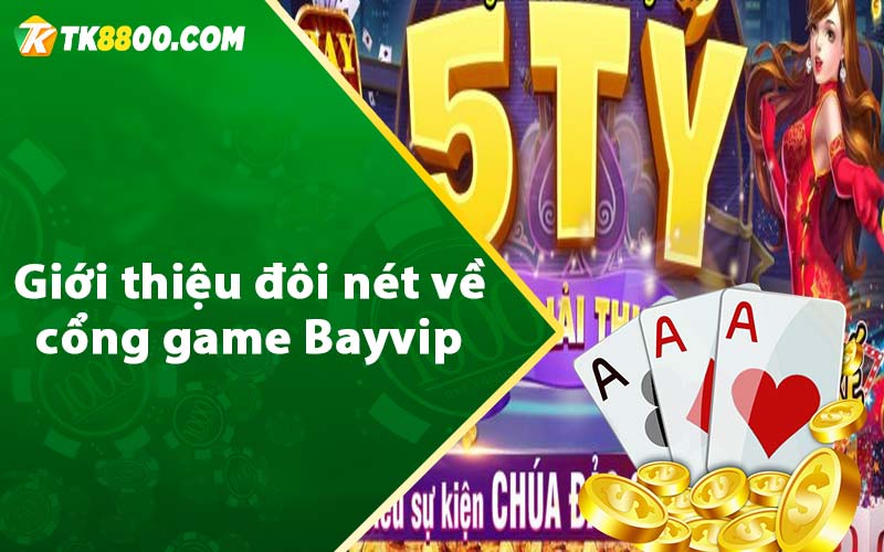 Giới thiệu đôi nét về cổng game Bayvip