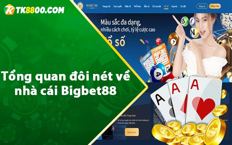 Tổng quan đôi nét về nhà cái Bigbet88 