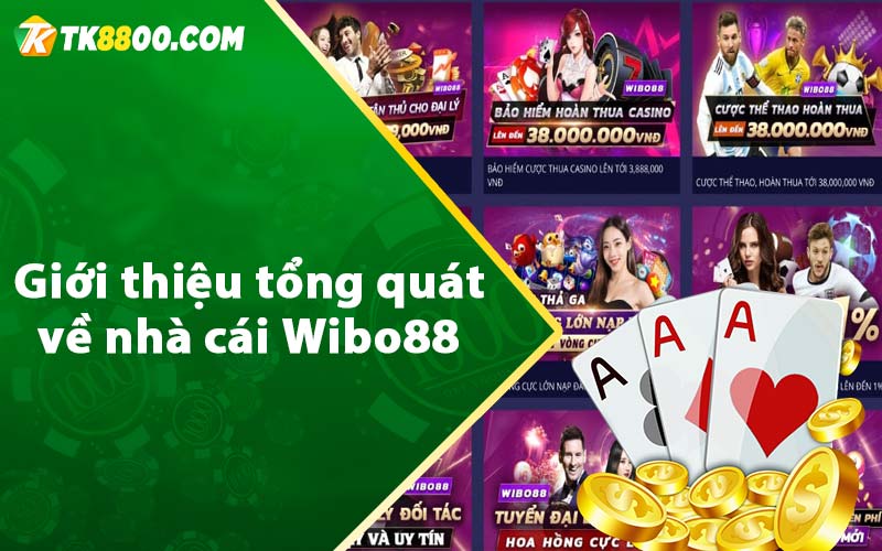 Giới thiệu tổng quát về nhà cái Wibo88 