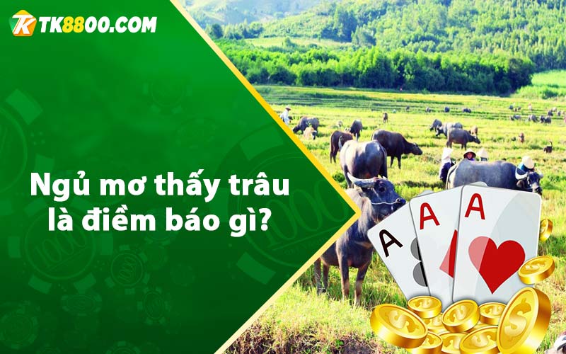 Ngủ mơ thấy trâu là điềm báo gì?