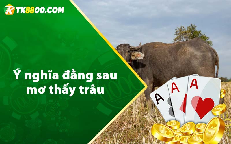 Ý nghĩa đằng sau mơ thấy trâu 