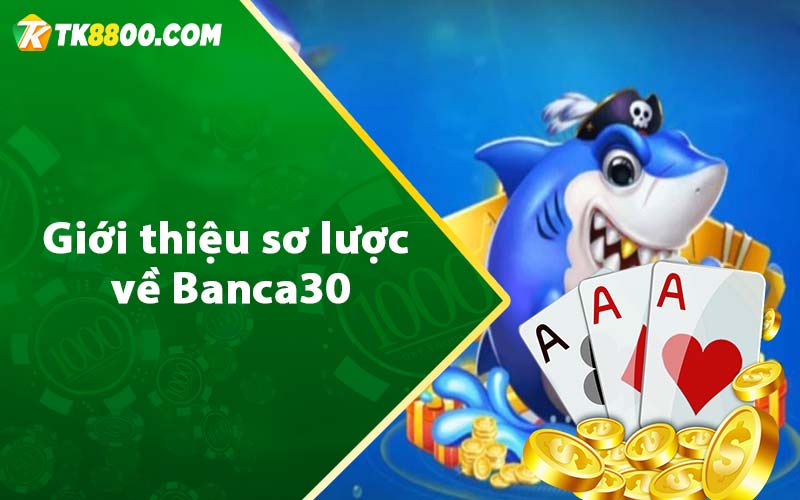 Giới thiệu sơ lược về Banca30  