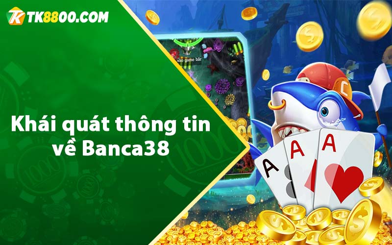 Khái quát thông tin về Banca38 